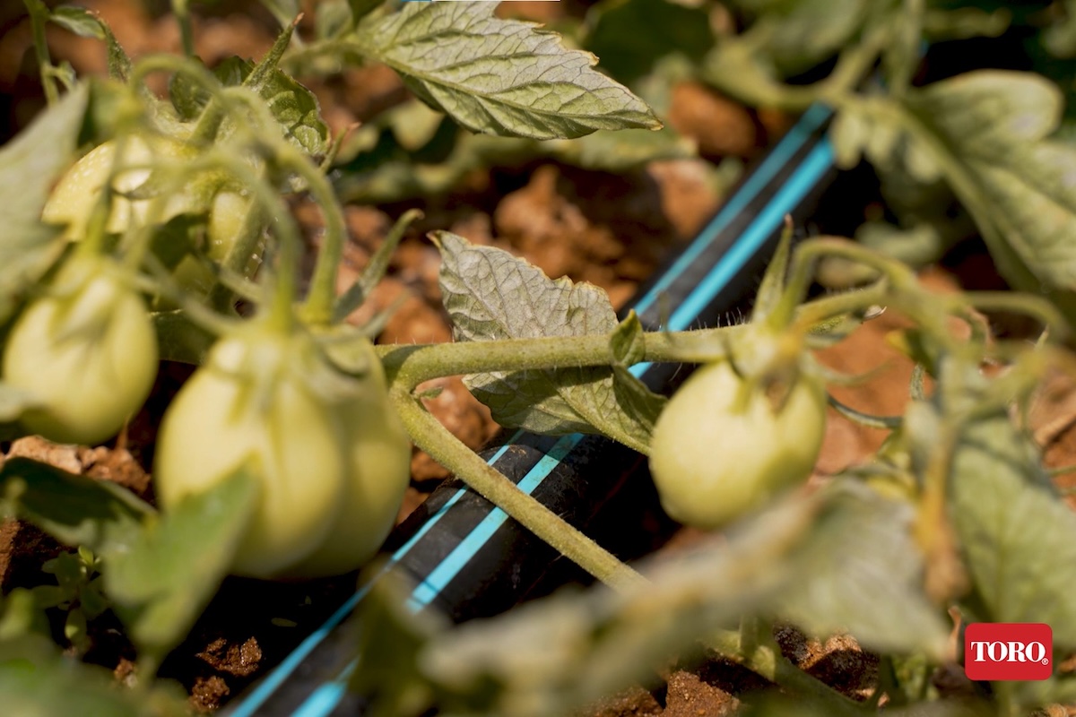 Aqua-Traxx FlowControl è la manichetta di Toro capace di distribuire uniformemente l'acqua lungo la linea anche in pendenza